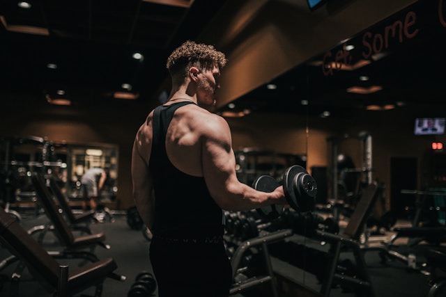 évolution musculaire